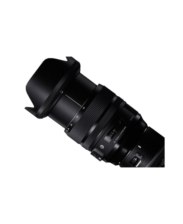 Add in(45) Sigma 24-70mm f/2.8 DG DN Art (Sigma 24-70mm f/2.8 DG DN Art)